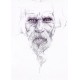 Vieil homme barbu